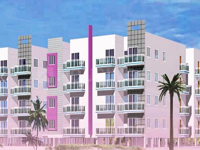 Dreamz Sujana More Images 1