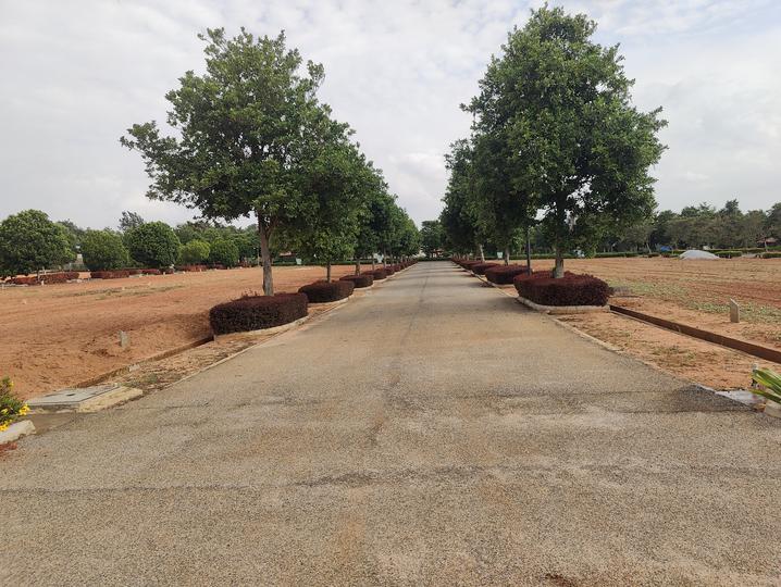 Gallery Cover Pic of Ajmal Flora Valley Phase II