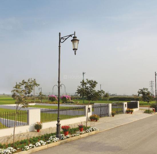 Gallery Cover Pic of Central Mikasa Plots