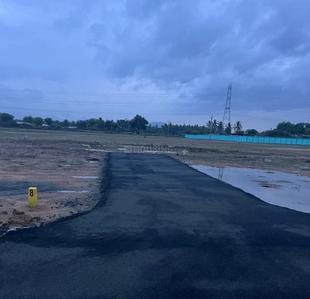 Premier Garden Project Images
