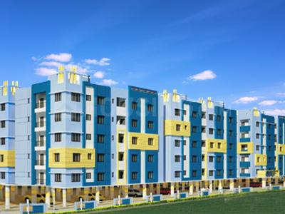 Trilok JMR's green wood
