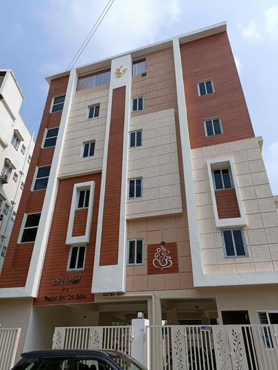 Gallery Cover Pic of Siri Nest