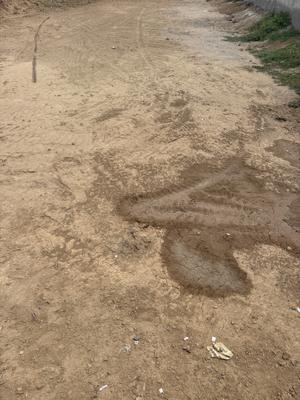 Residential Lands for Sale in Chandrakant Vishwa Bunglows