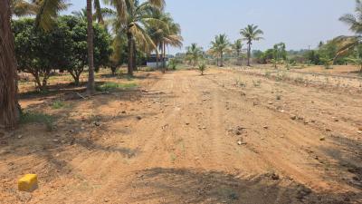 Residential Lands for Sale in Destiny Coconut Garden