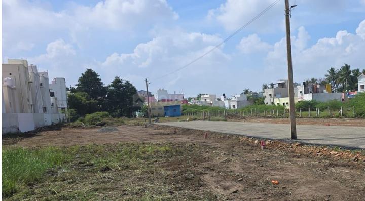 Gallery Cover Pic of MP Nagar