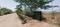 86 Banyan Tree Elevation 1