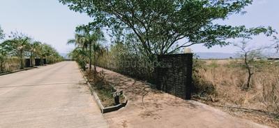 86 Banyan Tree Elevation 1