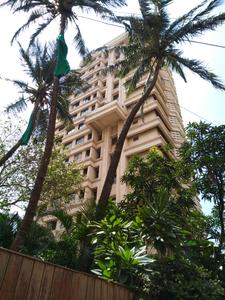 The Jackers Apartment Project Images