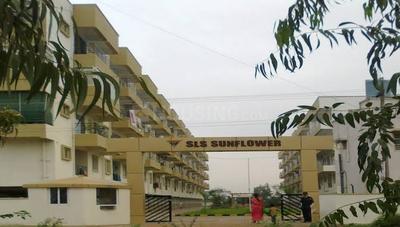 Gallery Cover Pic of SLS Sunflower