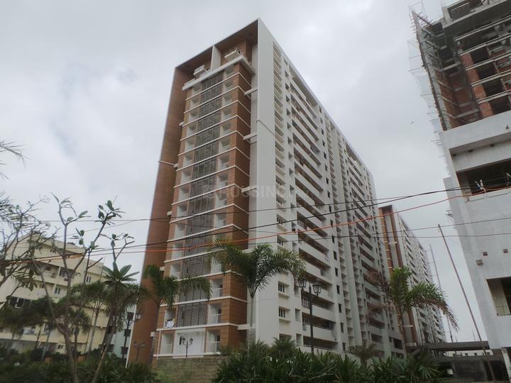 Gallery Cover Pic of Sunce Caesars Palace