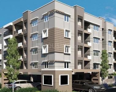 Srishti Pradhan Project Images