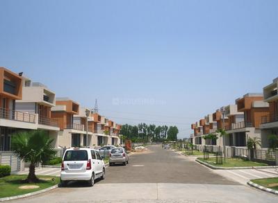 Residential Plot
