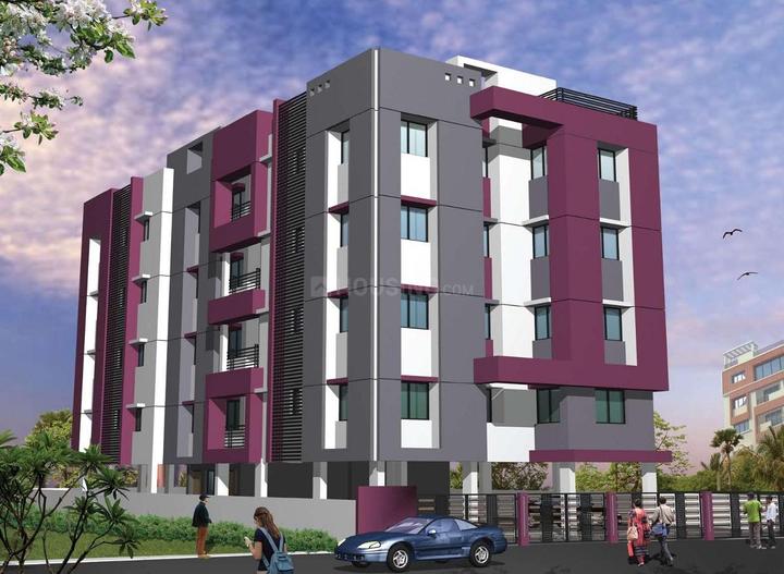 Gallery Cover Pic of Mayfair Blossom