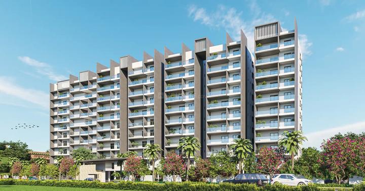 Gallery Cover Pic of Cadol Mysa