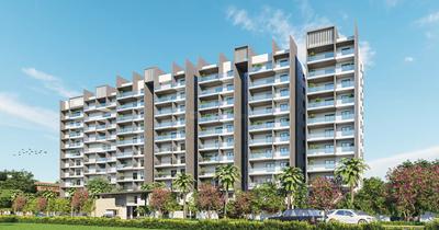 Gallery Cover Pic of Cadol Mysa