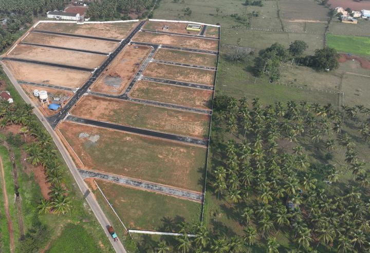 Gallery Cover Pic of Hari Garden