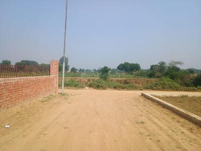 Project Images