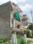 Gallery Cover Pic of Creative Homes 6