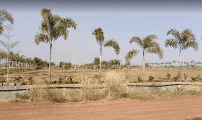 Project Image of 600 Sq.ft Residential Plot / Land for sale in Chhachhanpairi for Rs. 800000