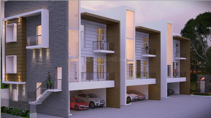 Arham Felicia More Images 1