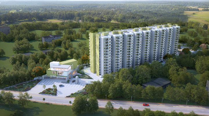 Gallery Cover Pic of Modern Neon