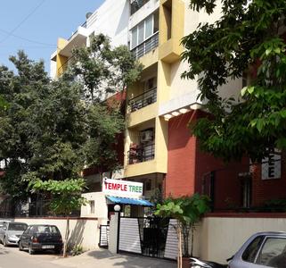 Gallery Cover Pic of Temple Tree