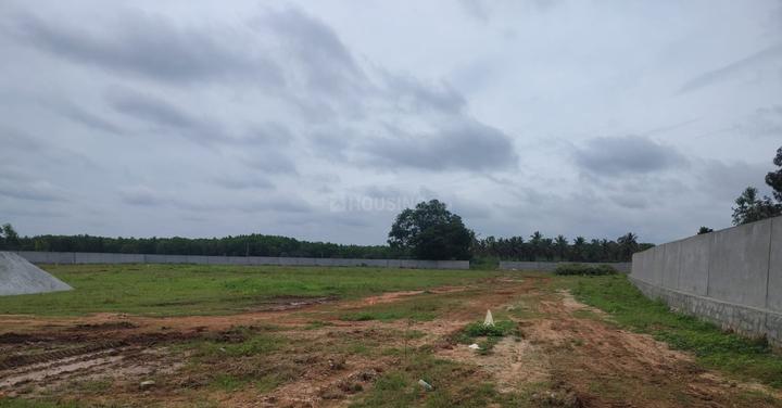 Gallery Cover Pic of SSD Under The Stars