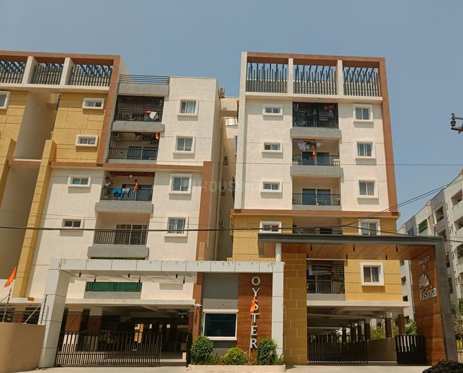 Gallery Cover Pic of Risinia Oyster