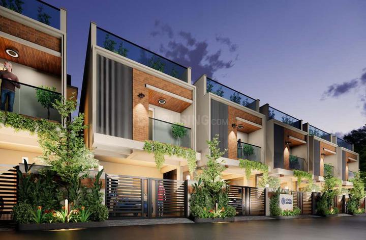 Bora Opus Main Image 1