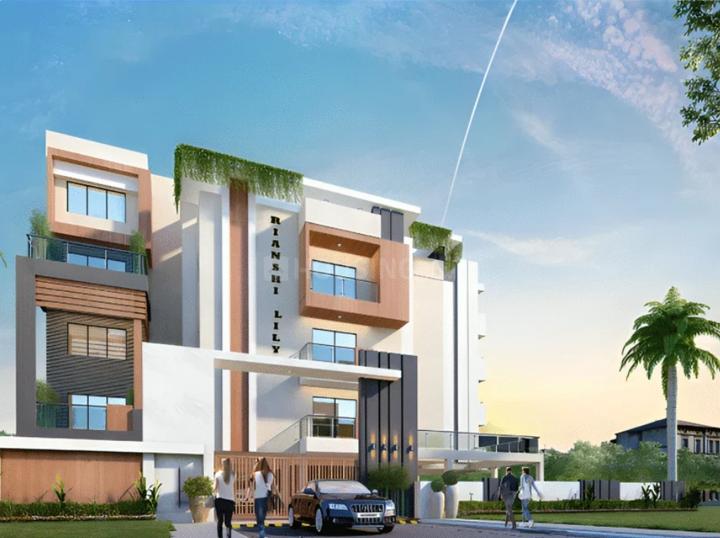 Gallery Cover Pic of Rianshi Lily