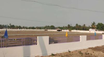 Lotus Avenue Project Images