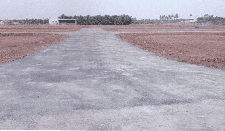 Gallery Cover Pic of Blue Wing Avenue