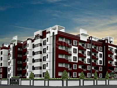 Gallery Cover Pic of DS Scion