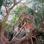 Gallery Cover Pic of Total Environment The Good Earth