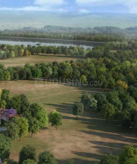 Gallery Cover Pic of Confident Astro