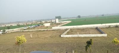 Project Image of 900 Sq.ft Residential Plot / Land for sale in Solra for Rs. 2250000