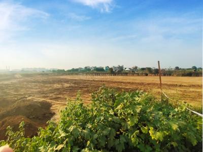 Project Image of 972 Sq.ft Residential Plot / Land for sale in Sector 83 for Rs. 20500000