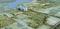 Manyata Earthsong By Manyata Phase 4 C Elevation 1