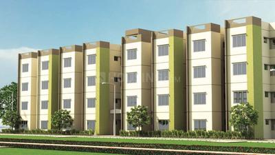 3 BHK Flat