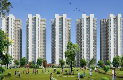 Gallery Cover Pic of Jaypee Aman III