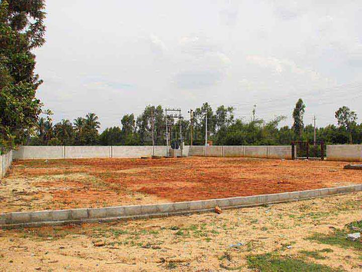 Gallery Cover Pic of Apranje Aura