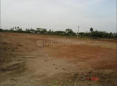 Residential Plot