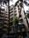 Trishul Apartment More Images 1