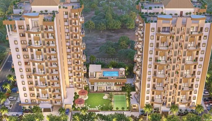 Gallery Cover Pic of Amvisha Siddharth Lotus