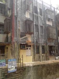 Ashok Apartment Project Images