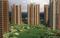 Gallery Cover Pic of RG Luxury Homes Phase 2