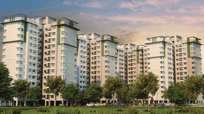 Provident Equinox 6 Project Images