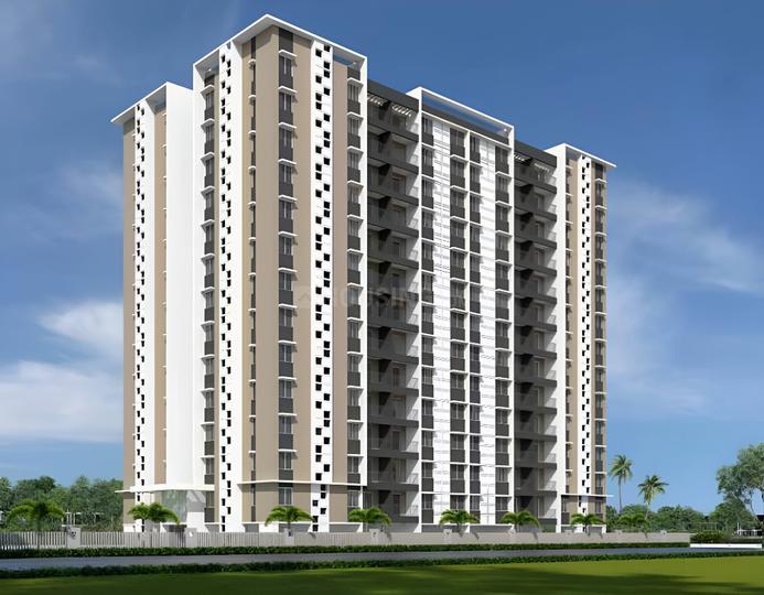 Pride Purple Palatia Phase I Main Image 1