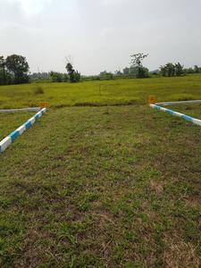 Project Image of 800 Sq.ft Residential Plot / Land for sale in Naubatpur for Rs. 2200000