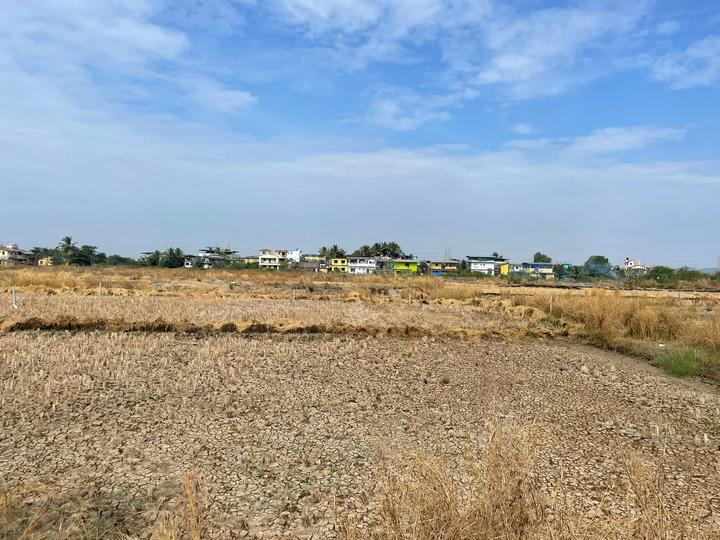 Gallery Cover Pic of Avani Plots In Prikon
